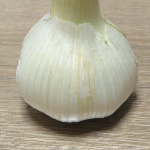 yv-0515