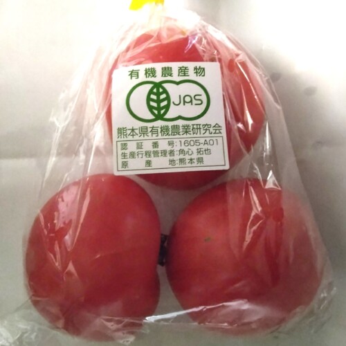 yv-0413